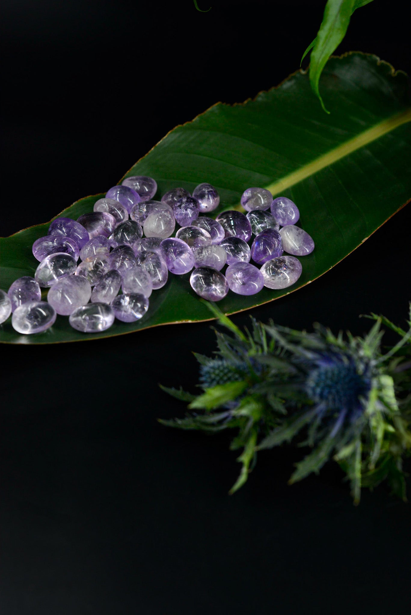 Amethyst Trommelstein